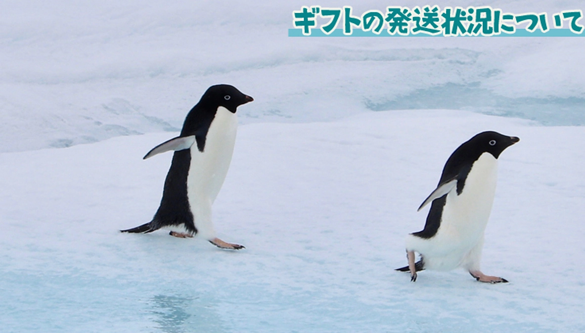 ギフトの発送状況につきまして