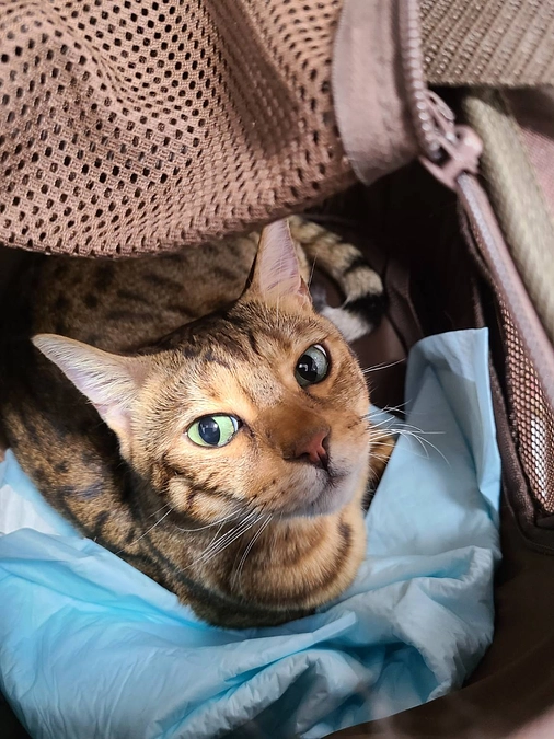 昨日は通院でした