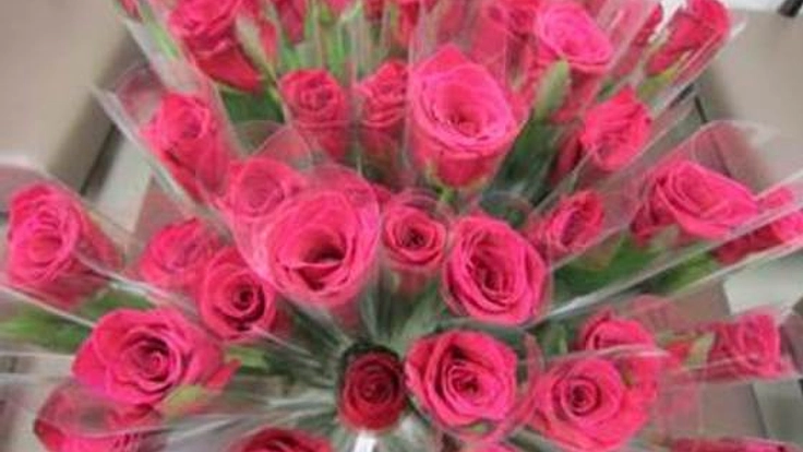 病気や要介護の高齢者に情熱と感謝を込めて赤いバラ千本を贈りたい