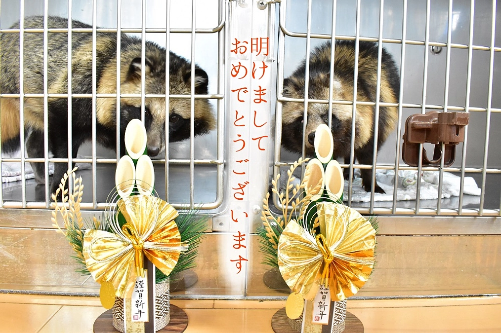 明けましておめでとうございます！