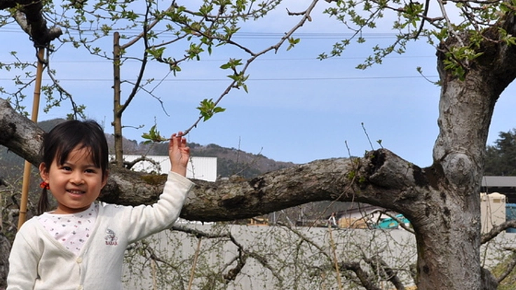 三陸の未来を担う子どもたちのために、120年続く地域文化と産業を残したい！