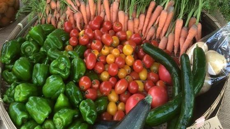 生命力溢れたお野菜を届け！オーガニックな暮らしを提案したい！