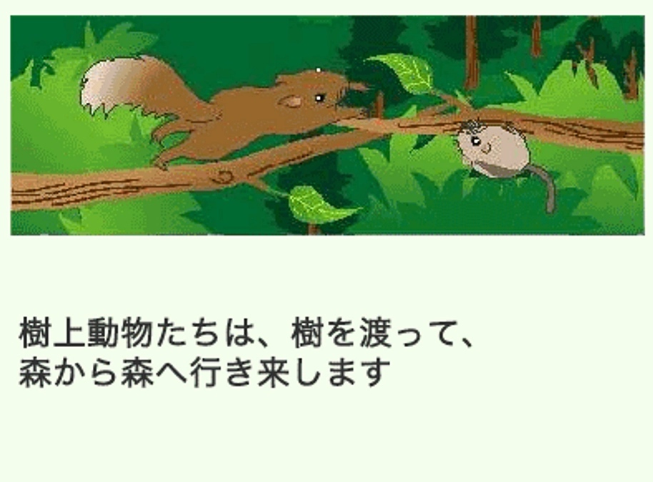 アニマルパスウェイ よくある質問 ①