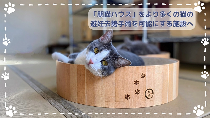 【殺処分ゼロを目指して】2度目の挑戦！朋猫ハウス増設にご支援を！ 2枚目