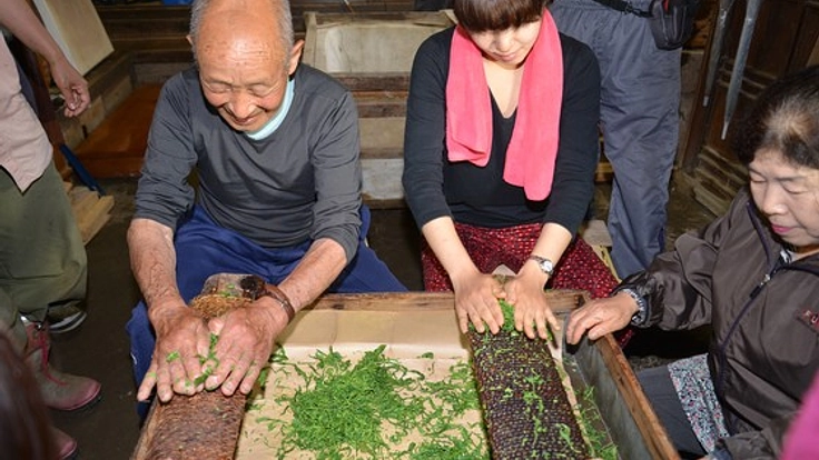 陸前高田や大船渡の伝統ある”気仙茶”を後世に守り継ぎたい!