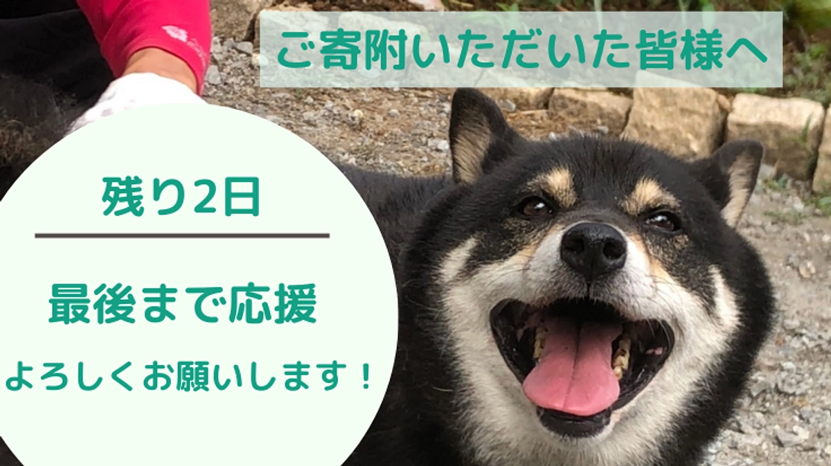 【残り2日！】ご支援いただいている皆さまへ