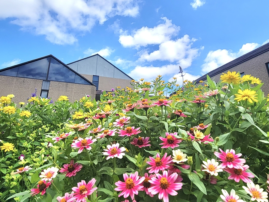 目標達成の御礼とNEXT GOALについて