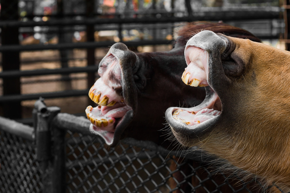 【残り9日！】達成まであと少しです！！
