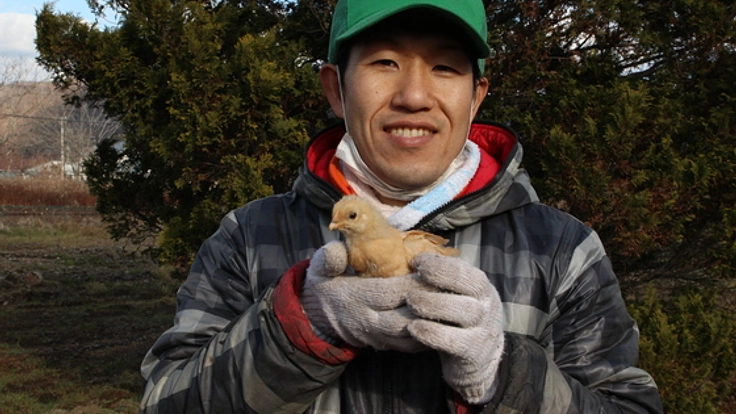 安全で美味しい北海道産飼料100%の平飼自然卵をつくりたい！