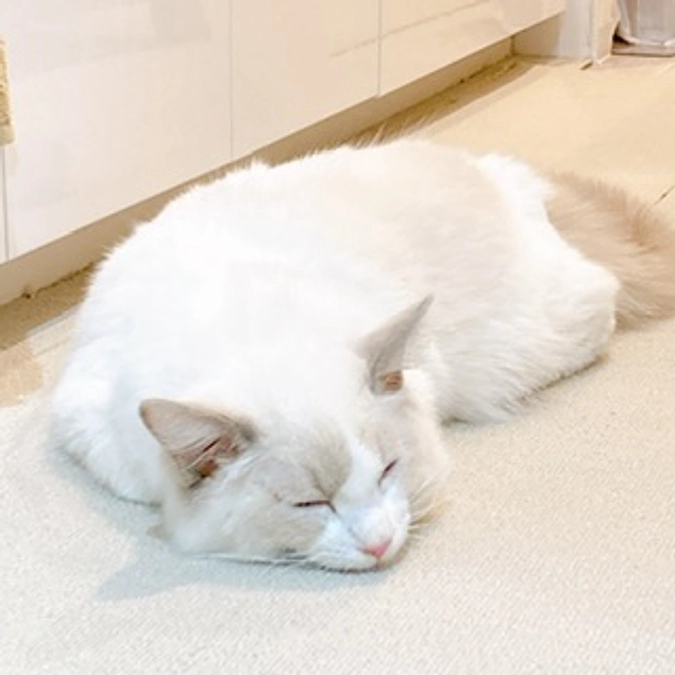 投薬１１日目(2023.3.23)