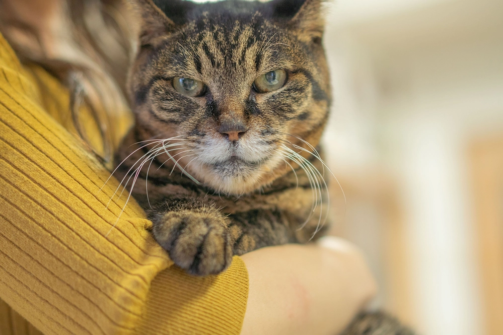 ご質問にお答えします！