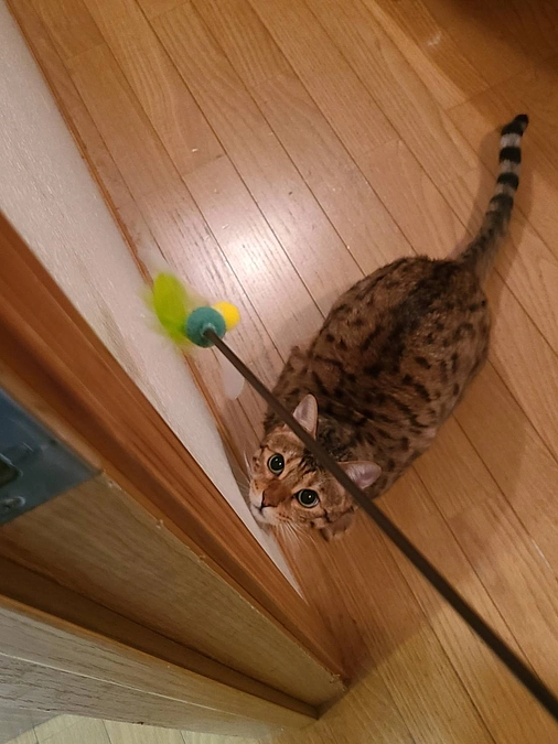 募集期間、残り8日です。