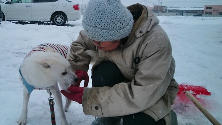 福島で家族を失った犬をセラピードッグに育て人を救う新たな道を