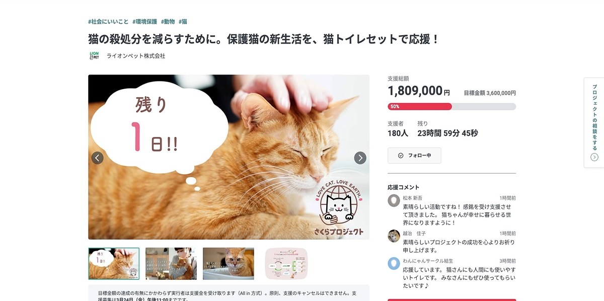 達成率50％を超えました！