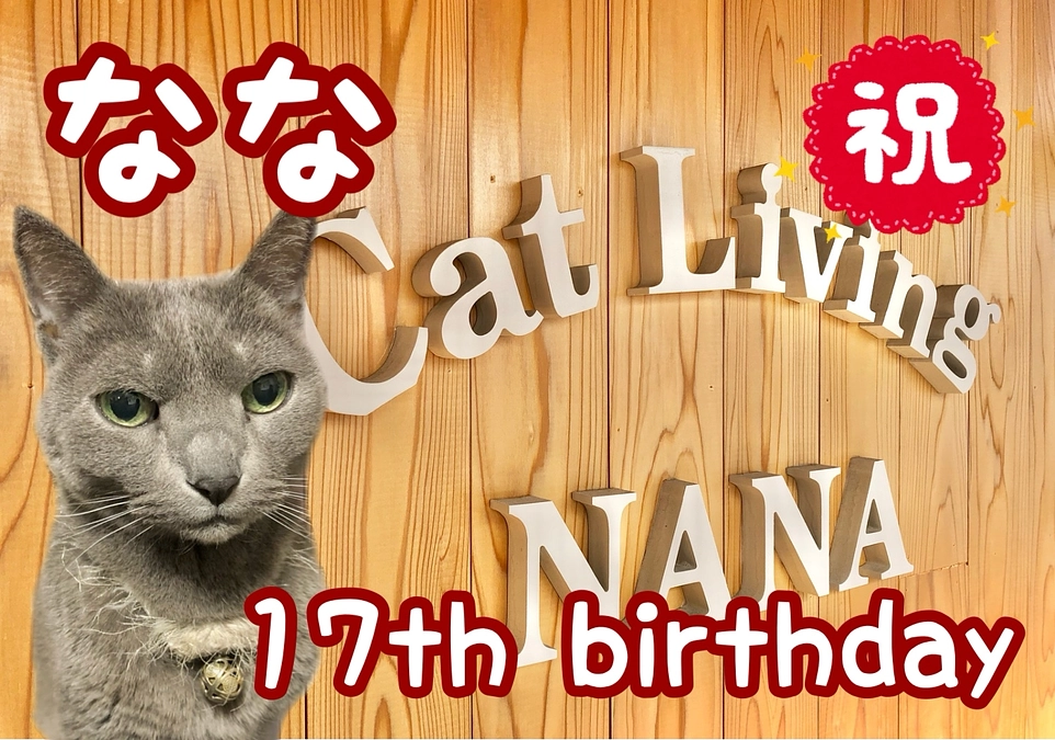 🐾ななちゃん生誕祭🐾