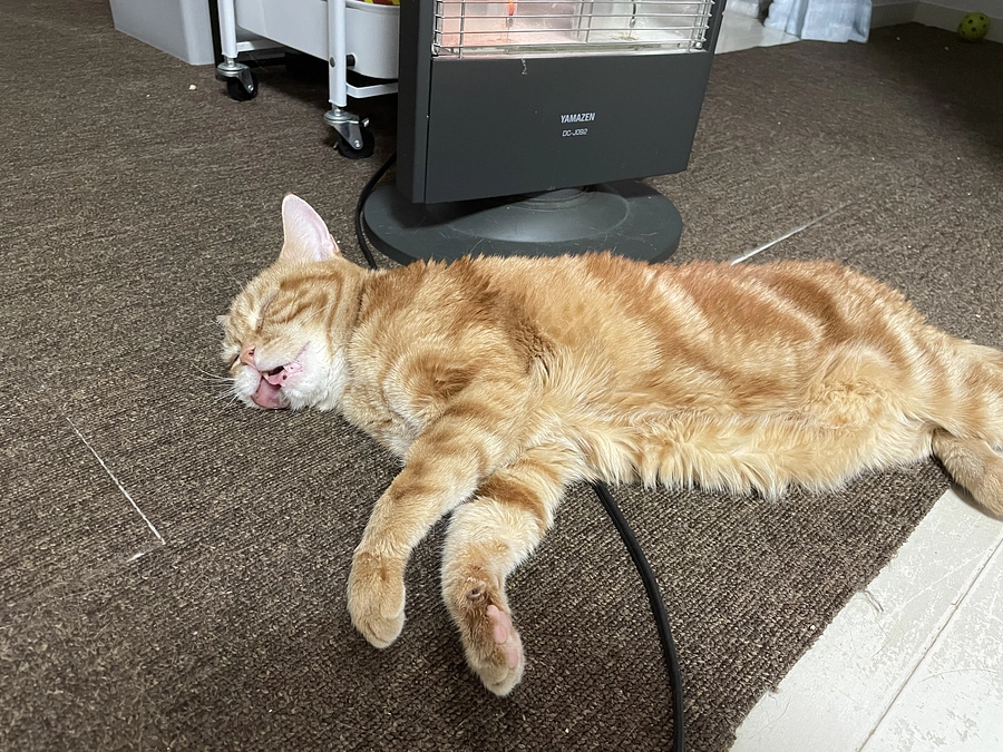 暖房大好きっ子