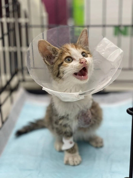 ☆活動ご報告☆