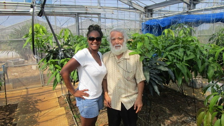 沖縄の耕作放棄を再生し全国に美味しいマンゴーを届けたい！