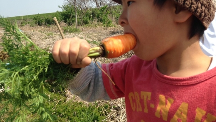 おこさまランチ革命！野菜をほおばる魔法のソースを開発！