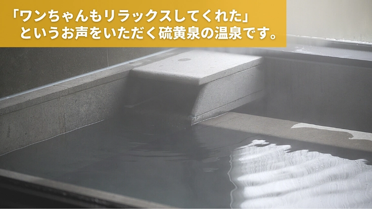天ヶ瀬に、愛犬と過ごす「川の駅」温泉旅館HONJINをつくります！ 6枚目