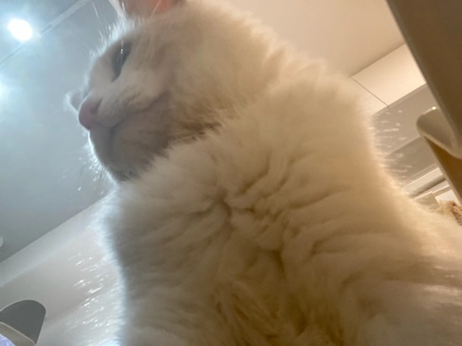 投薬１３日目(2023.3.25)