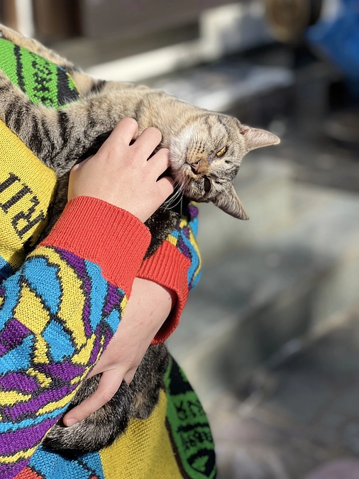 嵯峨ノ島ってどんなとこ？？