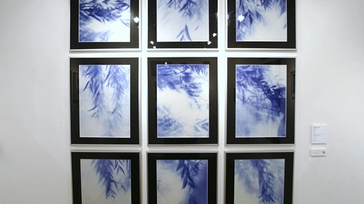 被爆樹木の写真展を広島で開き戦後70年の節目に平和を想う機会を