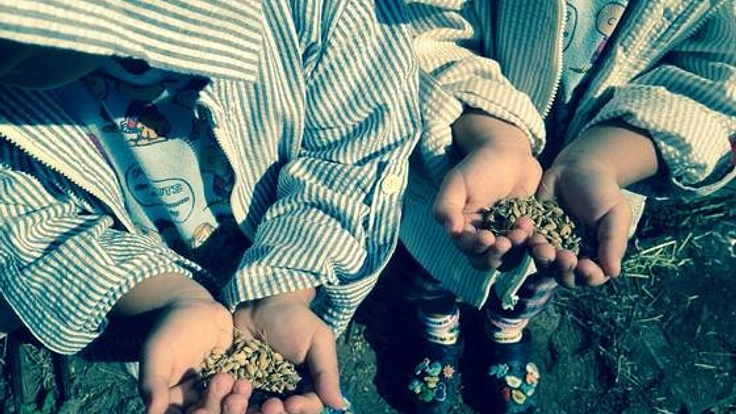 鹿児島の棚田風景と無農薬米を未来に!開田記念碑を再生したい!