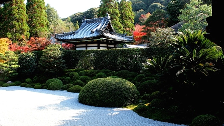 存続の危機にある京都一休寺の枯山水庭園を希望の光で照らしたい