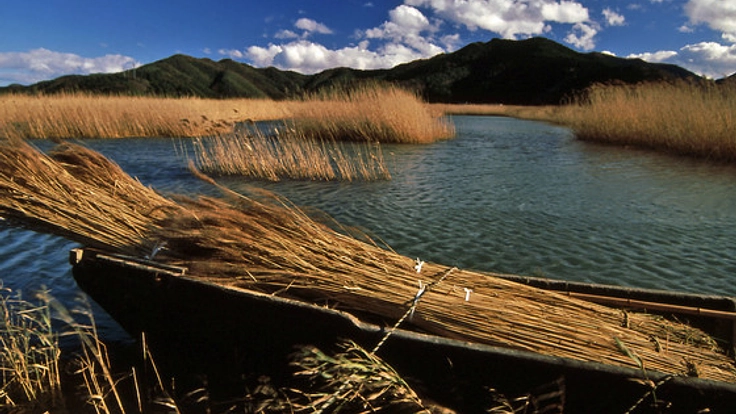 震災前後の宮城県旧北上町の風景を写真集にして残したい