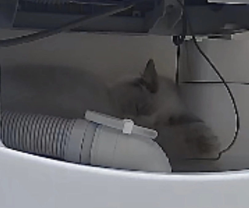 投薬１２日目(2023.3.24)