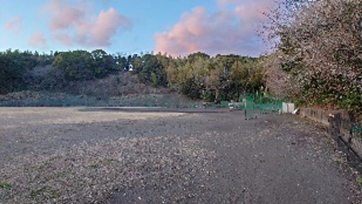 プロジェクト終了のお知らせ (3/1訂正版)