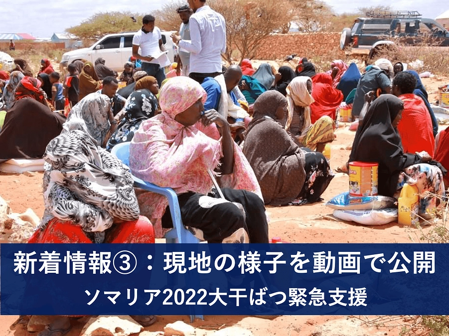 現地の様子、支援対象者の声をお届けします