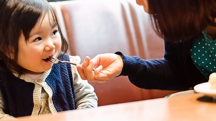 乳幼児期のママ向け食育のフリーマガジンを札幌で発行したい