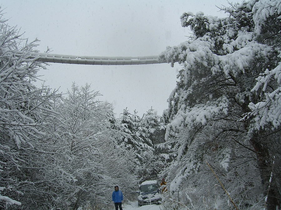 アニマルパスウェイ開発ものがたり　エピソード６