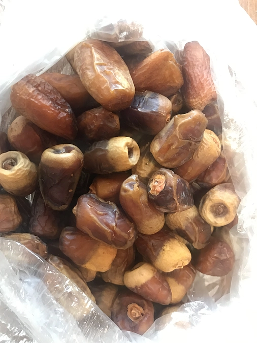 2022 LUXOR FARM デーツ