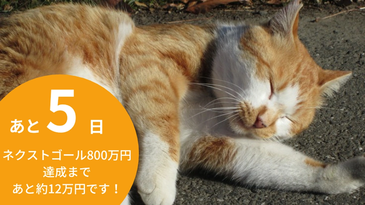 【残り5日】ネクストゴール800万円まであともう一押しです！