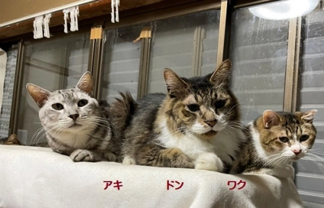 ★クラウドファンディング最終目標額達成のご報告とお礼