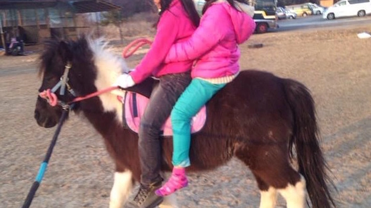 子どもたちが放課後に自然の中で安心して遊べる農園を運営したい