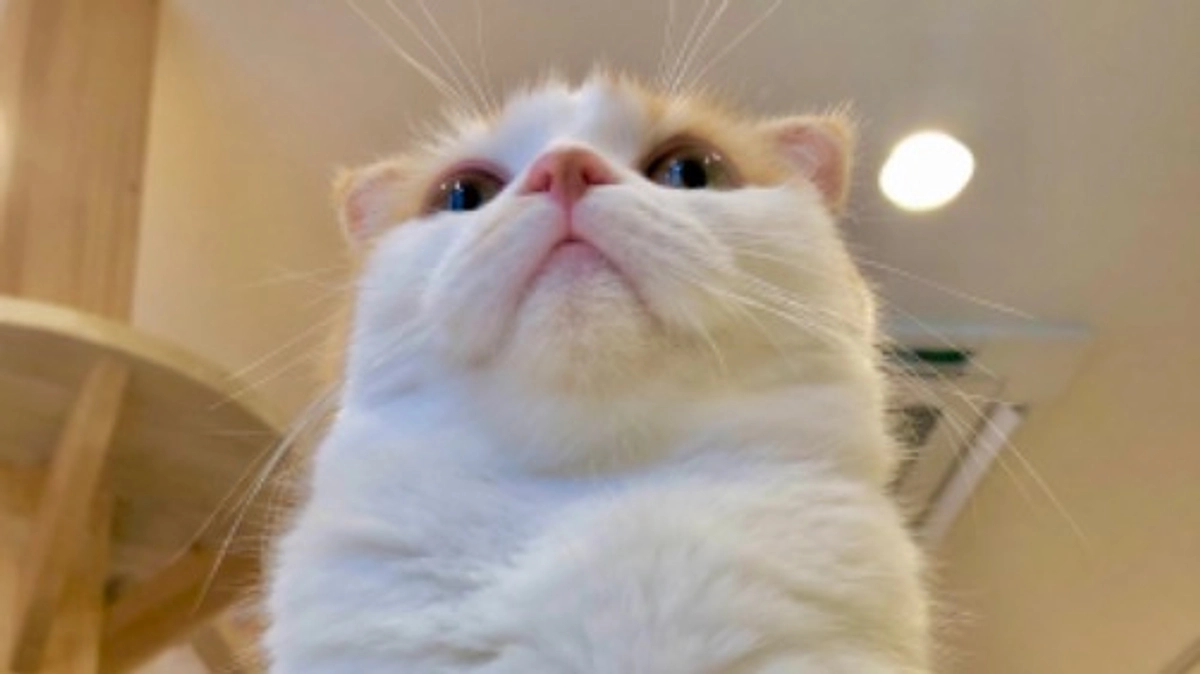 プロジェクト挑戦から1週間