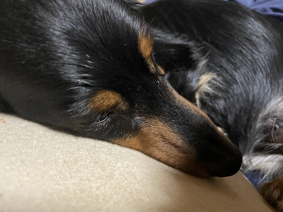 直接支援頂きましたご支援金を反映しました