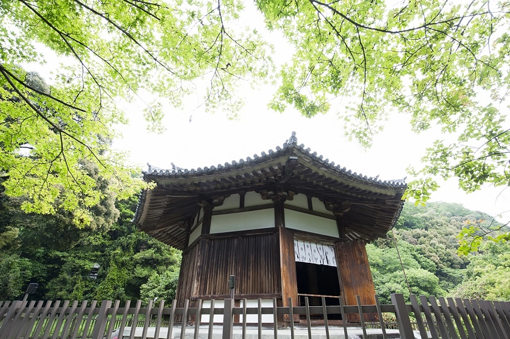 【残り３日】榮山寺秋季大祭【ネクストゴール挑戦中】