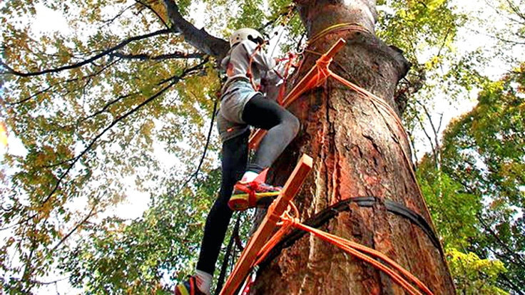 アスレチック『忍者修行わあるど』で子どもを安全に遊ばせたい！