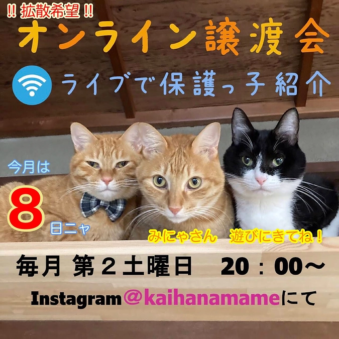 4月のオンライン譲渡会のお知らせ