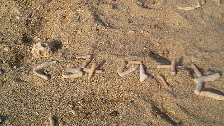 子供たちがのびのびと外で遊べるように自主保養をする