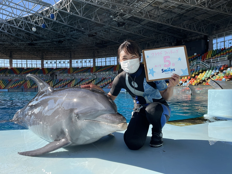 カウントダウン＆イルカトレーナーからのメッセージ