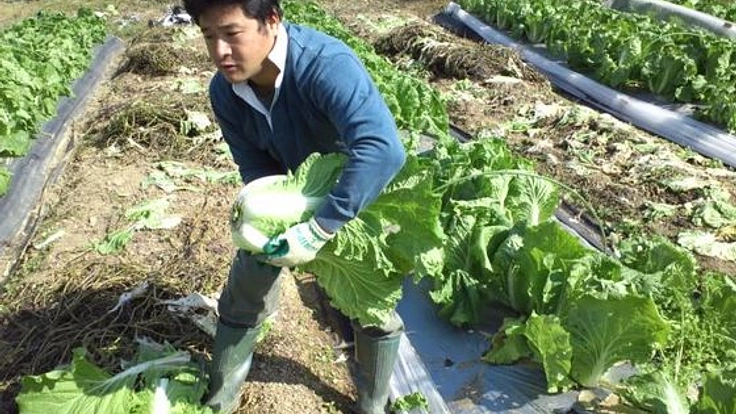 愛媛の耕作放棄地を再生しおいしいオーガニック野菜を育てたい！