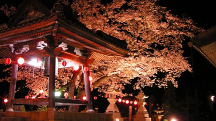 建立757年広島のお寺をライブ会場＆ギャラリーに変貌させたい