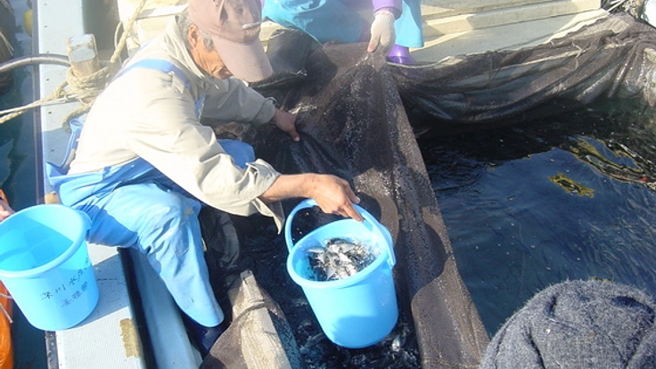 熊本県天草市に産直センターを作り生産者と農水産業を守りたい！