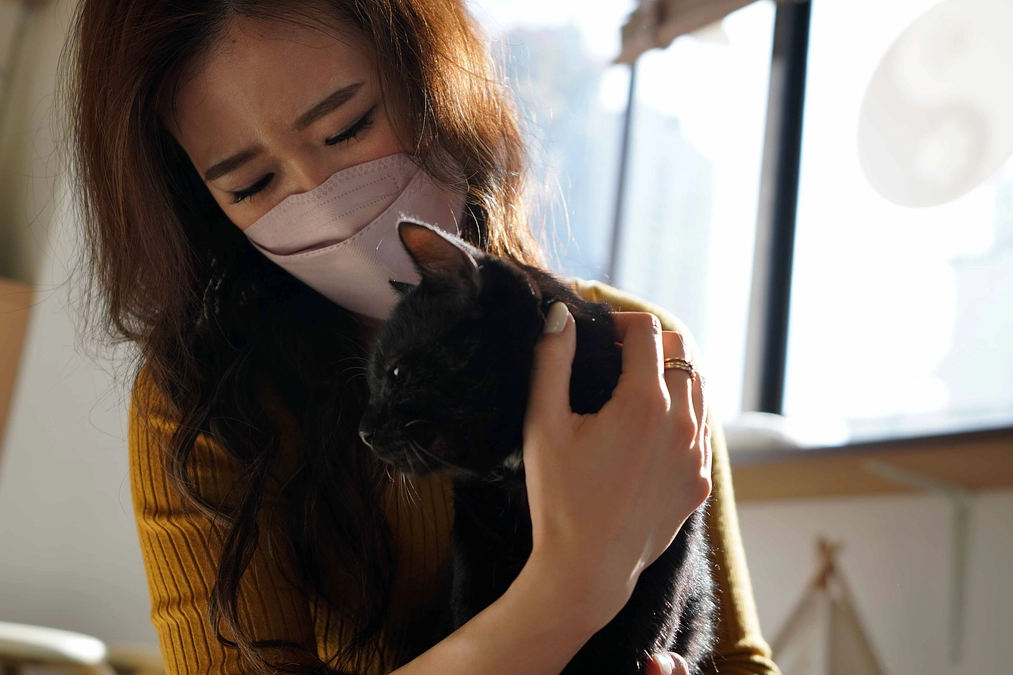 さくらプロジェクト終了まで、あと残り2日！